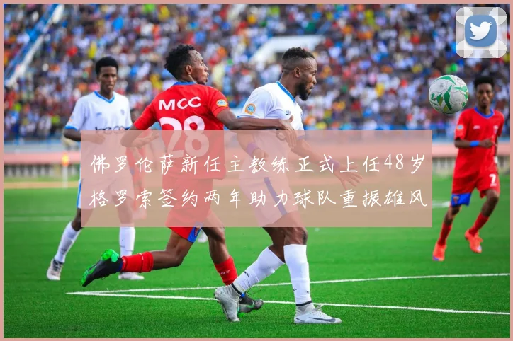 佛罗伦萨新任主教练正式上任48岁格罗索签约两年助力球队重振雄风